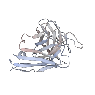 8564_5uk2_H_v1-3
CryoEM structure of an influenza virus receptor-binding site antibody-antigen interface - Class 4