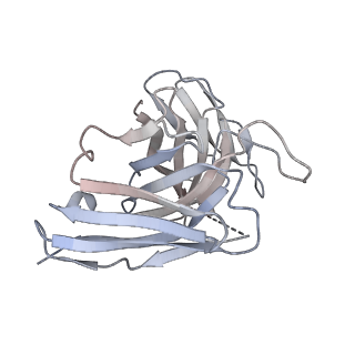 8564_5uk2_H_v2-0
CryoEM structure of an influenza virus receptor-binding site antibody-antigen interface - Class 4