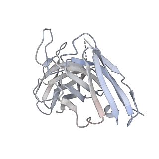 8564_5uk2_I_v1-3
CryoEM structure of an influenza virus receptor-binding site antibody-antigen interface - Class 4