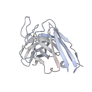 8564_5uk2_I_v2-0
CryoEM structure of an influenza virus receptor-binding site antibody-antigen interface - Class 4