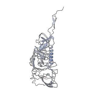 20813_6ulc_C_v1-0
Structure of full-length, fully glycosylated, non-modified HIV-1 gp160 bound to PG16 Fab at a nominal resolution of 4.6 Angstrom