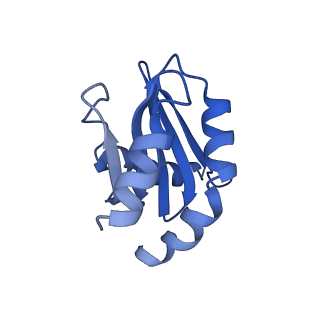 20814_6ulg_A_v1-1
Cryo-EM structure of the FLCN-FNIP2-Rag-Ragulator complex