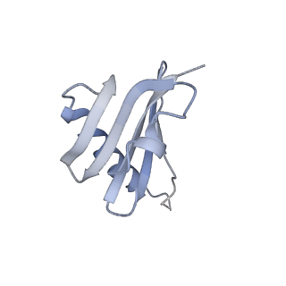 20814_6ulg_D_v1-1
Cryo-EM structure of the FLCN-FNIP2-Rag-Ragulator complex