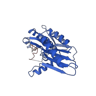 20814_6ulg_F_v1-1
Cryo-EM structure of the FLCN-FNIP2-Rag-Ragulator complex