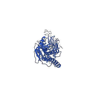 20814_6ulg_L_v1-1
Cryo-EM structure of the FLCN-FNIP2-Rag-Ragulator complex