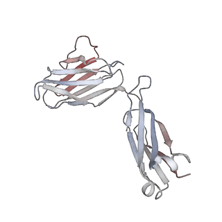 26594_7ul7_D_v1-2
Lineage I (Pinneo) Lassa virus glycoprotein bound to 18.5C-M30 Fab