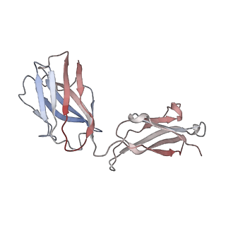 26594_7ul7_E_v1-2
Lineage I (Pinneo) Lassa virus glycoprotein bound to 18.5C-M30 Fab