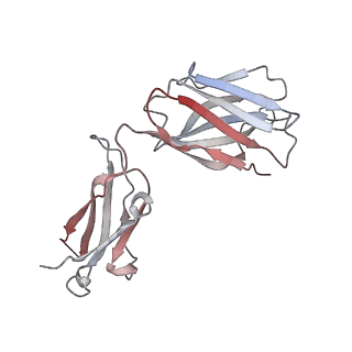 26594_7ul7_G_v1-2
Lineage I (Pinneo) Lassa virus glycoprotein bound to 18.5C-M30 Fab