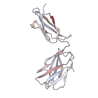 26594_7ul7_H_v1-2
Lineage I (Pinneo) Lassa virus glycoprotein bound to 18.5C-M30 Fab