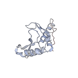 26594_7ul7_b_v1-2
Lineage I (Pinneo) Lassa virus glycoprotein bound to 18.5C-M30 Fab