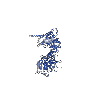 42358_8ulg_A_v1-0
Cryo-EM structure of bovine phosphodiesterase 6 bound to IBMX