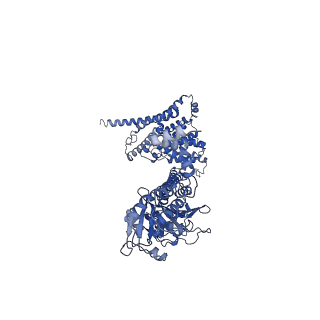 42358_8ulg_A_v1-1
Cryo-EM structure of bovine phosphodiesterase 6 bound to IBMX