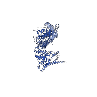 42358_8ulg_B_v1-0
Cryo-EM structure of bovine phosphodiesterase 6 bound to IBMX