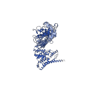 42358_8ulg_B_v1-1
Cryo-EM structure of bovine phosphodiesterase 6 bound to IBMX