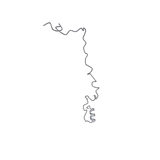 42358_8ulg_D_v1-1
Cryo-EM structure of bovine phosphodiesterase 6 bound to IBMX