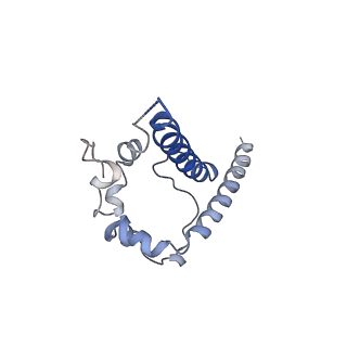 20817_6um5_B_v1-1
Cryo-EM structure of HIV-1 neutralizing antibody DH270 UCA3 in complex with CH848 10.17DT Env