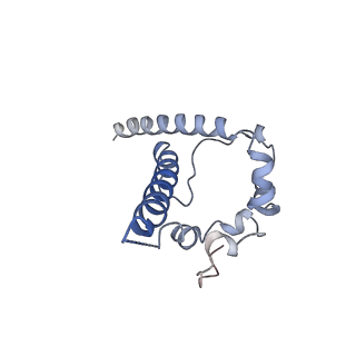 20817_6um5_F_v1-1
Cryo-EM structure of HIV-1 neutralizing antibody DH270 UCA3 in complex with CH848 10.17DT Env