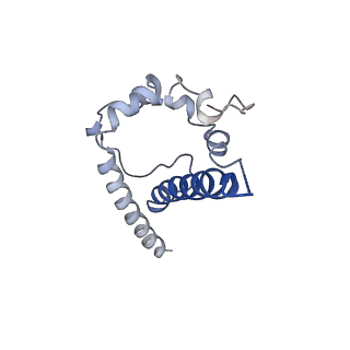 20817_6um5_J_v1-1
Cryo-EM structure of HIV-1 neutralizing antibody DH270 UCA3 in complex with CH848 10.17DT Env