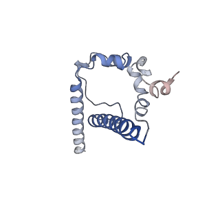 20818_6um6_F_v1-1
Cryo-EM structure of HIV-1 neutralizing antibody DH270.6 in complex with CH848 10.17DT Env