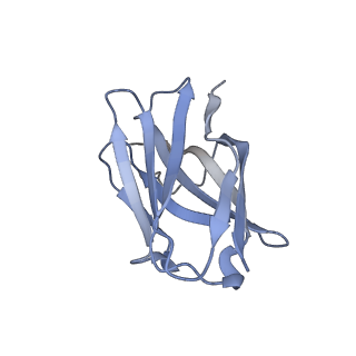 20818_6um6_G_v1-1
Cryo-EM structure of HIV-1 neutralizing antibody DH270.6 in complex with CH848 10.17DT Env