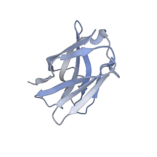 20818_6um6_K_v1-1
Cryo-EM structure of HIV-1 neutralizing antibody DH270.6 in complex with CH848 10.17DT Env