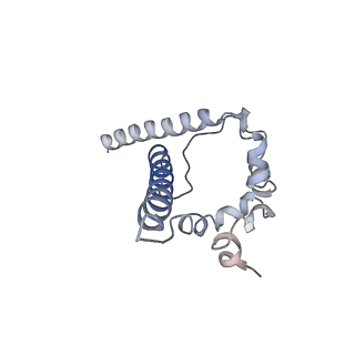 20819_6um7_1_v1-0
Cryo-EM structure of vaccine-elicited HIV-1 neutralizing antibody DH270.mu1 in complex with CH848 10.17DT Env