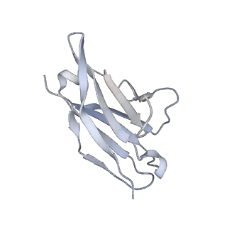 20819_6um7_C_v2-0
Cryo-EM structure of vaccine-elicited HIV-1 neutralizing antibody DH270.mu1 in complex with CH848 10.17DT Env