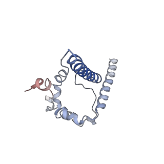 20819_6um7_D_v1-0
Cryo-EM structure of vaccine-elicited HIV-1 neutralizing antibody DH270.mu1 in complex with CH848 10.17DT Env