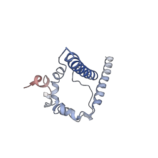 20819_6um7_D_v2-0
Cryo-EM structure of vaccine-elicited HIV-1 neutralizing antibody DH270.mu1 in complex with CH848 10.17DT Env