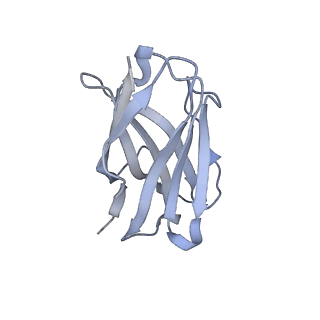 20819_6um7_F_v1-0
Cryo-EM structure of vaccine-elicited HIV-1 neutralizing antibody DH270.mu1 in complex with CH848 10.17DT Env