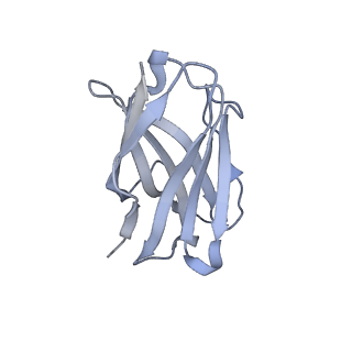 20819_6um7_F_v2-0
Cryo-EM structure of vaccine-elicited HIV-1 neutralizing antibody DH270.mu1 in complex with CH848 10.17DT Env