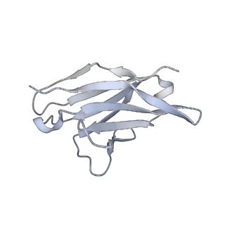 20819_6um7_G_v1-0
Cryo-EM structure of vaccine-elicited HIV-1 neutralizing antibody DH270.mu1 in complex with CH848 10.17DT Env