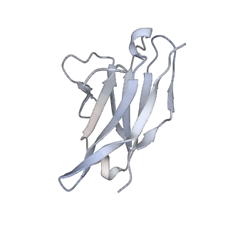 20819_6um7_K_v1-0
Cryo-EM structure of vaccine-elicited HIV-1 neutralizing antibody DH270.mu1 in complex with CH848 10.17DT Env