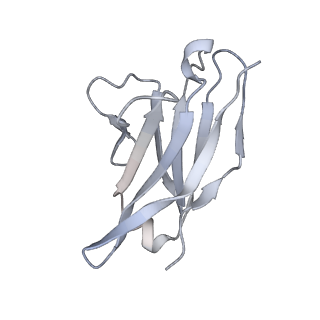 20819_6um7_K_v2-0
Cryo-EM structure of vaccine-elicited HIV-1 neutralizing antibody DH270.mu1 in complex with CH848 10.17DT Env