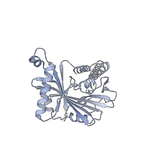 20820_6umm_A_v1-1
A complete structure of the ESX-3 translocon complex