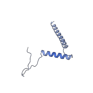 20820_6umm_D_v1-1
A complete structure of the ESX-3 translocon complex