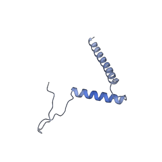 20820_6umm_D_v1-2
A complete structure of the ESX-3 translocon complex