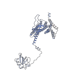 20820_6umm_H_v1-1
A complete structure of the ESX-3 translocon complex