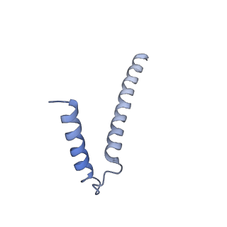 20820_6umm_I_v1-1
A complete structure of the ESX-3 translocon complex