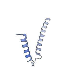 20820_6umm_I_v1-2
A complete structure of the ESX-3 translocon complex