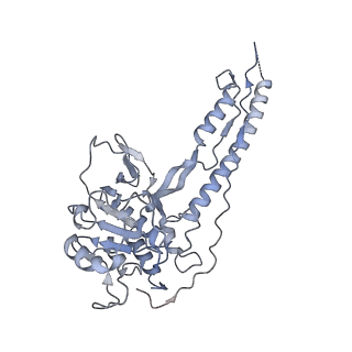 20820_6umm_J_v1-2
A complete structure of the ESX-3 translocon complex