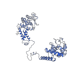 24763_7um0_A_v1-1
Structure of the phage AR9 non-virion RNA polymerase holoenzyme in complex with two DNA oligonucleotides containing the AR9 P077 promoter as determined by cryo-EM