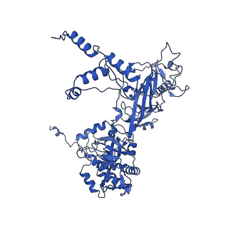 24763_7um0_C_v1-0
Structure of the phage AR9 non-virion RNA polymerase holoenzyme in complex with two DNA oligonucleotides containing the AR9 P077 promoter as determined by cryo-EM