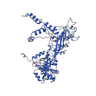 24763_7um0_C_v1-1
Structure of the phage AR9 non-virion RNA polymerase holoenzyme in complex with two DNA oligonucleotides containing the AR9 P077 promoter as determined by cryo-EM