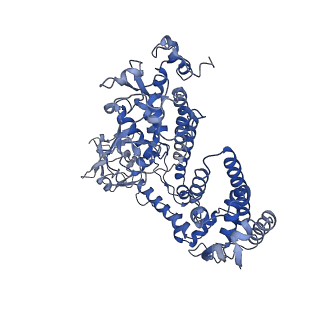 24763_7um0_D_v1-0
Structure of the phage AR9 non-virion RNA polymerase holoenzyme in complex with two DNA oligonucleotides containing the AR9 P077 promoter as determined by cryo-EM