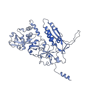 24763_7um0_c_v1-1
Structure of the phage AR9 non-virion RNA polymerase holoenzyme in complex with two DNA oligonucleotides containing the AR9 P077 promoter as determined by cryo-EM