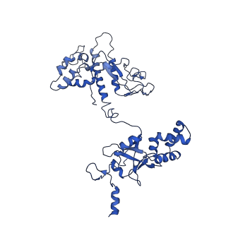 24763_7um0_d_v1-1
Structure of the phage AR9 non-virion RNA polymerase holoenzyme in complex with two DNA oligonucleotides containing the AR9 P077 promoter as determined by cryo-EM