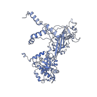24765_7um1_C_v1-0
Structure of bacteriophage AR9 non-virion RNAP polymerase holoenzyme determined by cryo-EM