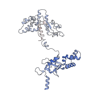 24765_7um1_d_v1-0
Structure of bacteriophage AR9 non-virion RNAP polymerase holoenzyme determined by cryo-EM