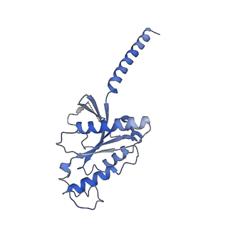 26597_7um5_B_v1-1
CryoEM structure of Go-coupled 5-HT5AR in complex with 5-CT